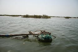 le Sine Saloum par Ker Tukki (Sngal)