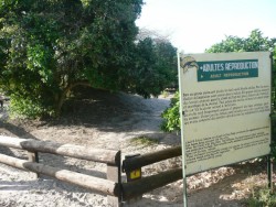 Le village des tortues de Noflaye (Sngal)