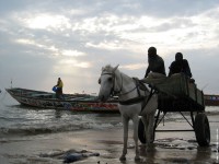 plage de M'bour (Sngal)