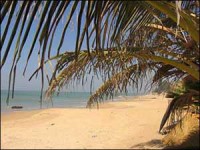 plage de Saly (Sénégal)