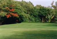 le golf de Saly (Sngal)