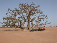 sorties en quad  Saly (Sngal)