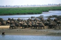 mangroves du sine saloum