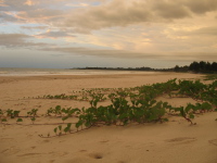 casamance