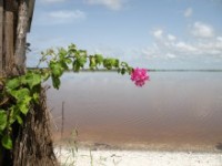 le Lac Rose au Sngal