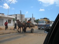 charette  cheval Sngal