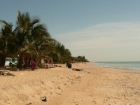 la plage de Saly Niakh Niakhal (Sngal)